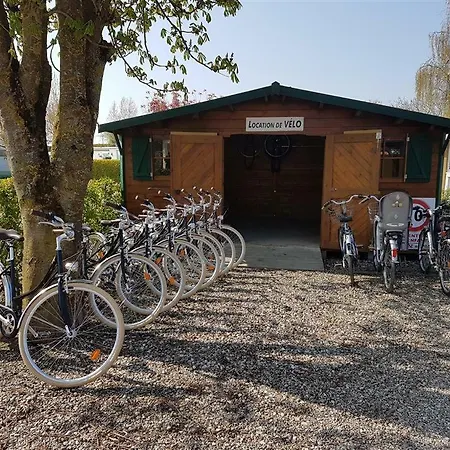 Campsite Camping De La Motte 4*